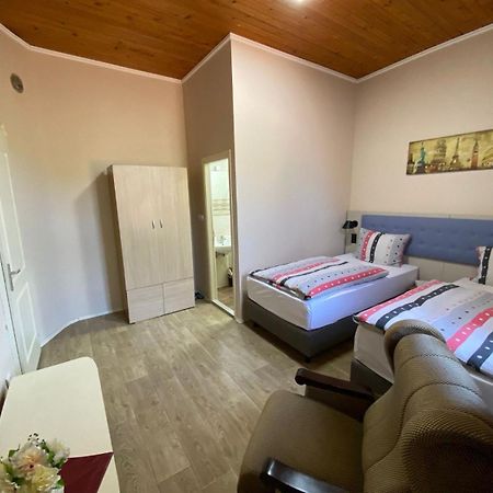 Vila Alex Apartment Vrnjačka Banja Екстериор снимка