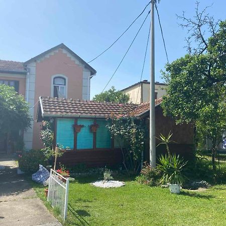 Vila Alex Apartment Vrnjačka Banja Екстериор снимка